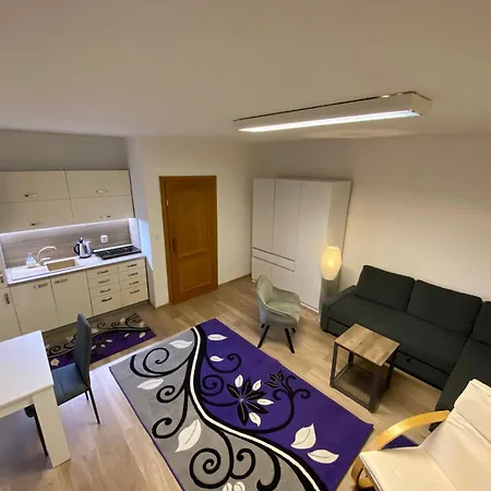 Apartment Holleho 2 Trencin