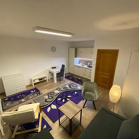 Apartment Holleho 2 Trencin