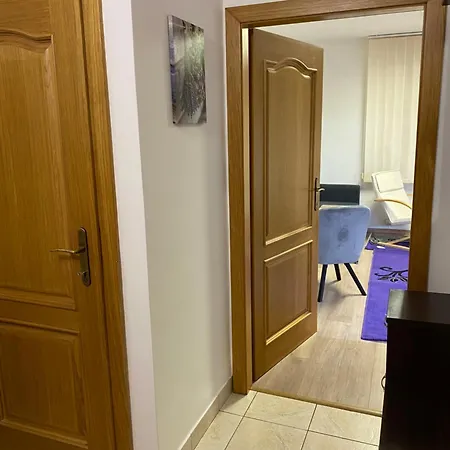 Apartment Holleho 2 Trencin