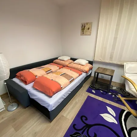 Apartment Holleho 2
